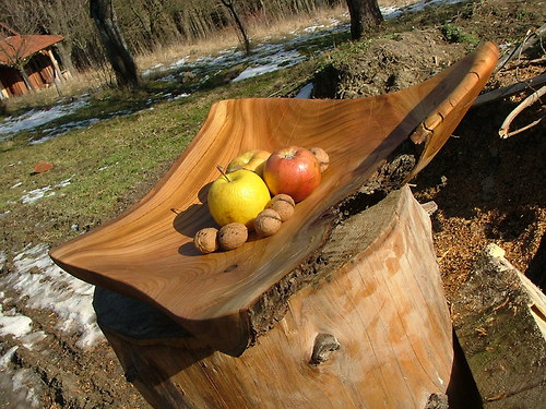 Rohatá třešňová — foto 5