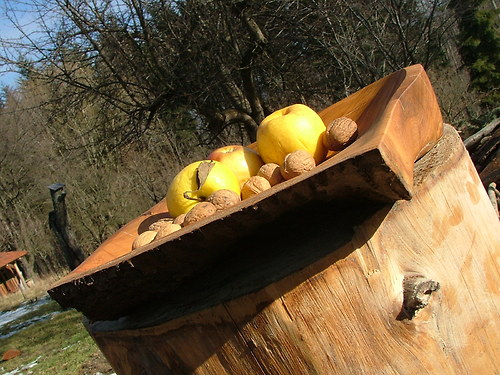 Třešňová s kůrů — foto 2