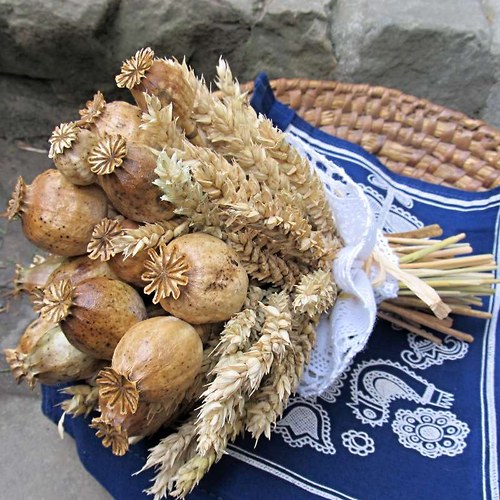 Valašská, svatební — foto 6