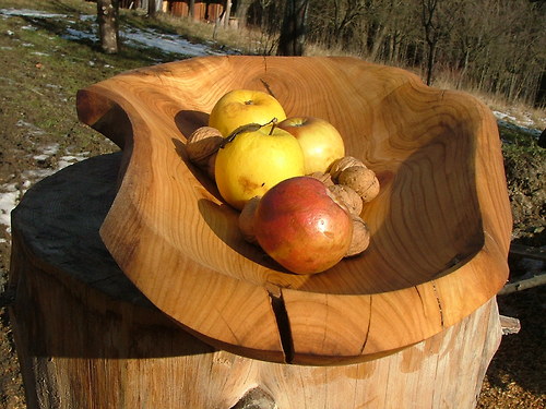Třešňová sukatá — foto 2