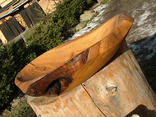 Třešňová sukatá — foto 3