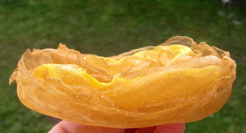 Květina na dotvoření - rezervace — foto 2