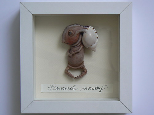 Hlavounek moudrý — foto 6