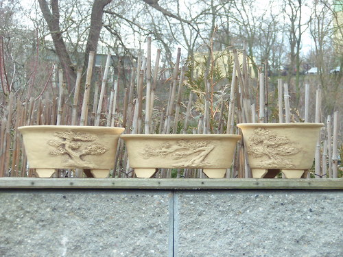 Bonsai miska světlá kulatá — foto 3