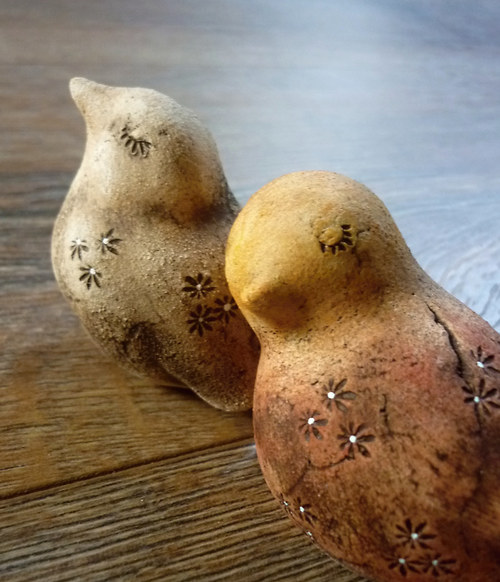 Ptáčci přírodní — foto 3