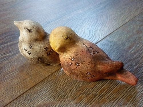 Ptáčci přírodní — foto 4