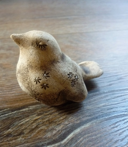 Ptáčci přírodní — foto 5