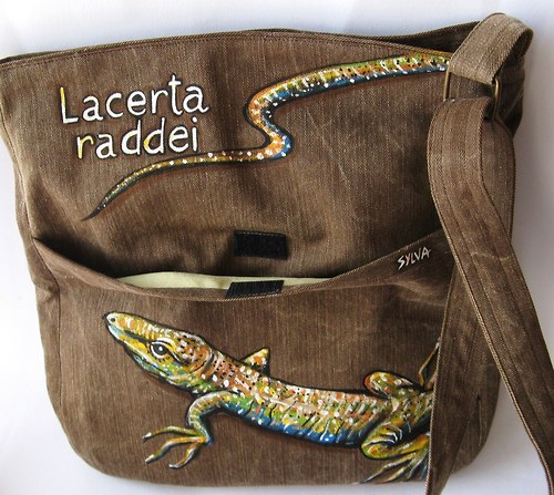 Lacerta raddei — foto 2