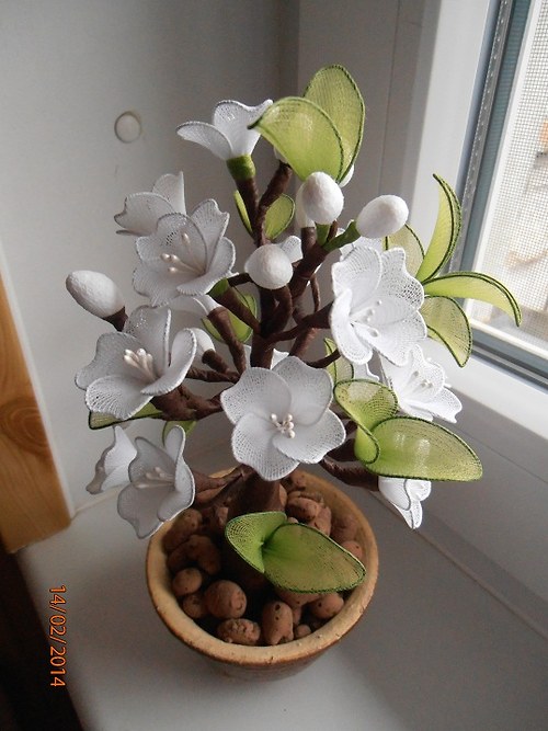 Bílá bonsaj — foto 2
