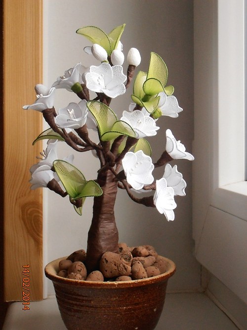Bílá bonsaj — foto 3