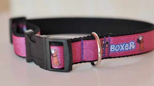 Obojek BOXER — foto 3