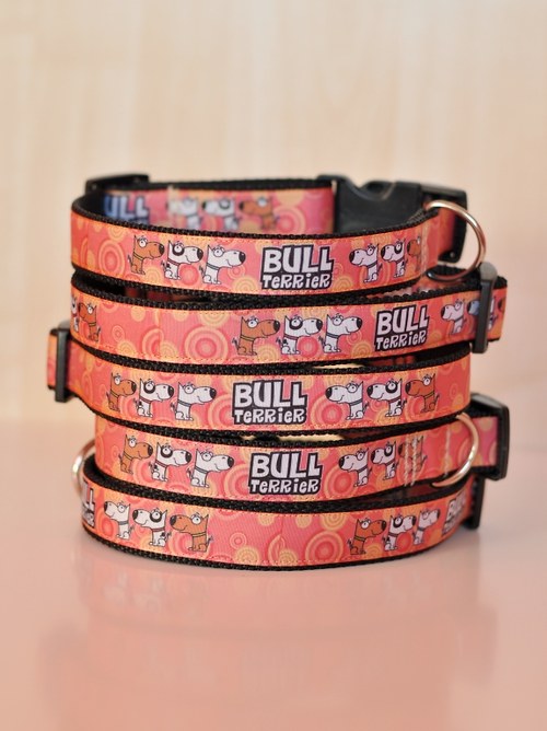 Obojek BULL terrier — foto 2