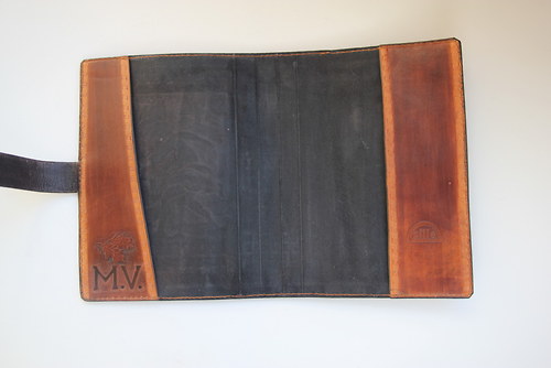 Samson a lev — foto 3
