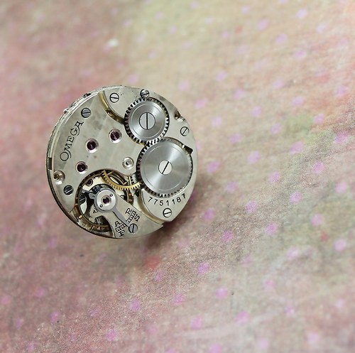 Timeless — foto 2