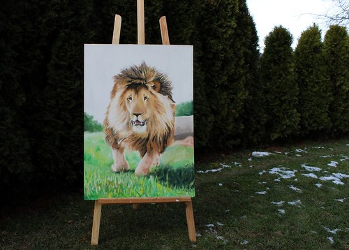 Leo — foto 5