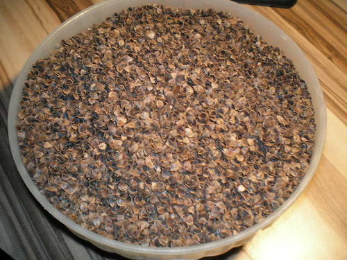 Pohankové slupky — foto 3