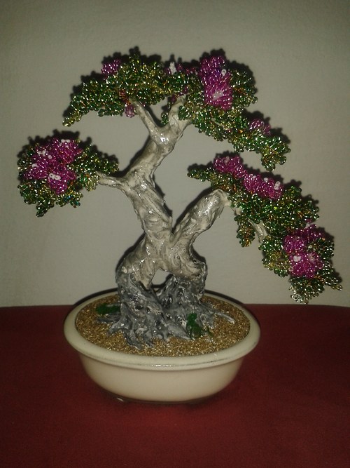 Fialová bonsaj — foto 2