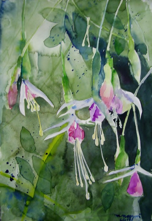 Fuchsia — foto 2