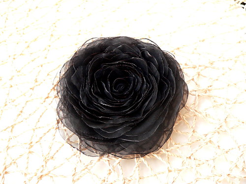 Where the wild roses grow — foto 2