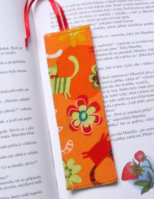 Kočičky oranž — foto 2