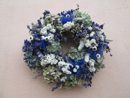 Obláčkovník — foto 2