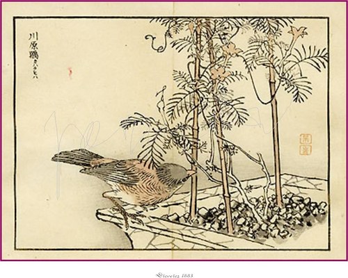 Japonské dřevořezy IV — foto 2