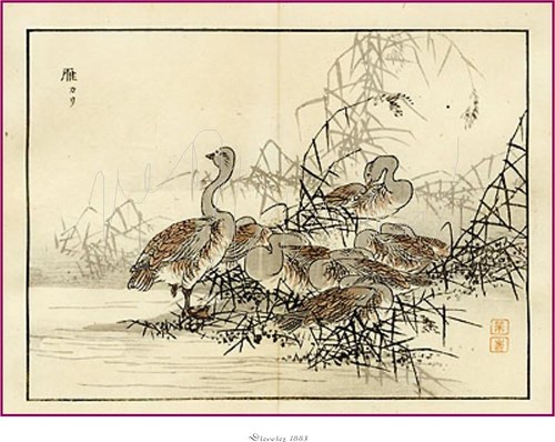 Japonské dřevořezy IV — foto 3