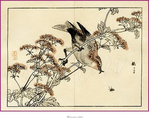Japonské dřevořezy IV — foto 6