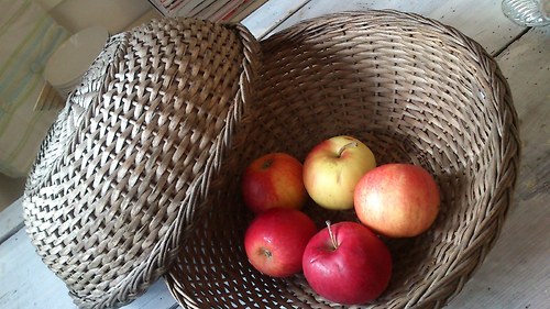 Proutěný úkryt — foto 2