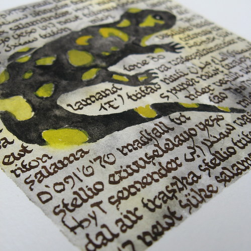 Stellio — foto 3