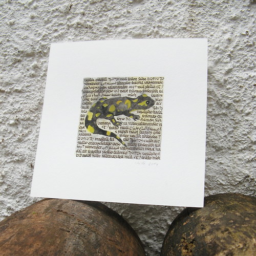 Stellio — foto 4
