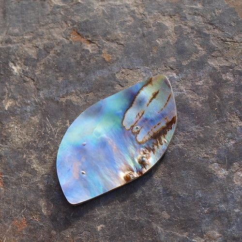 Paua mušle 37 x 21 mm — foto 3