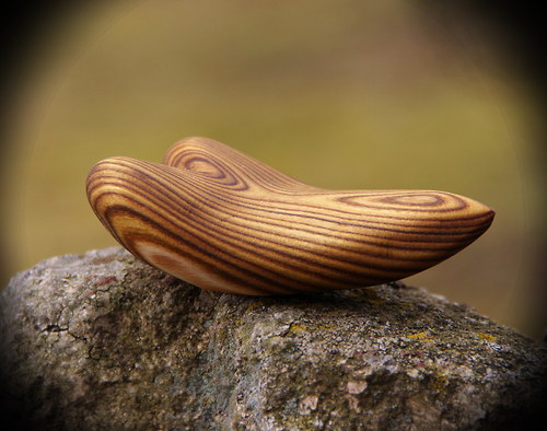 Wohnout :-) ze škumpy — foto 5