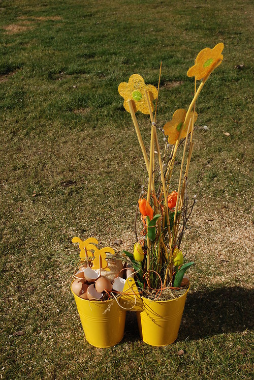 Kyblíčkovec — foto 3