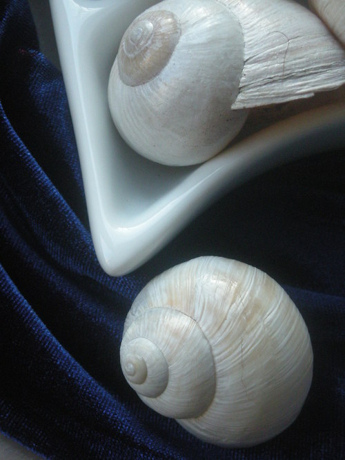 Ulity - alabastrové I. — foto 2