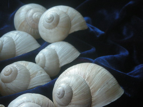 Ulity - alabastrové I. — foto 3