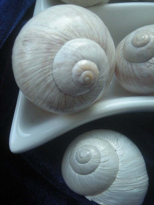 Ulity - alabastrové — foto 2