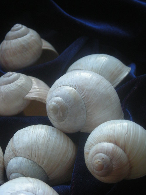 Ulity - alabastrové — foto 3