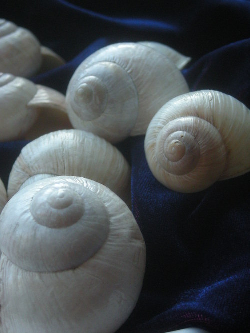 Ulity - alabastrové — foto 5