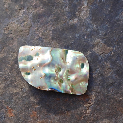 Paua mušle 35 x 21 mm — foto 4