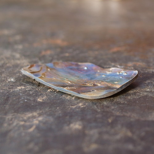 Paua mušle 35 x 21 mm — foto 5