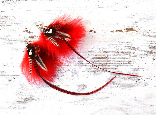 Red Kitty — foto 2