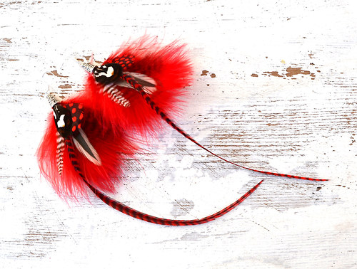 Red Kitty — foto 4