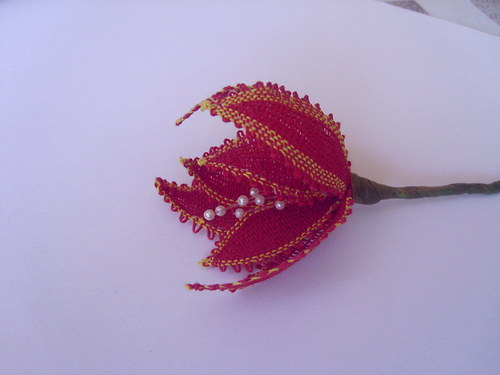 Barevné jaro - tulipán — foto 2