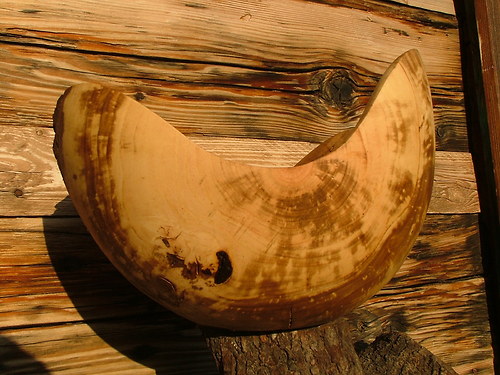 Hrušková kulatá — foto 2