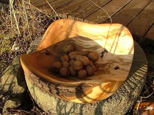 Hrušková kulatá — foto 3