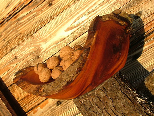 Malá barevná trnková — foto 2