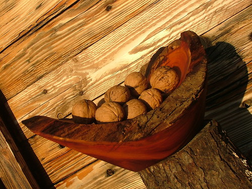 Malá barevná trnková — foto 3