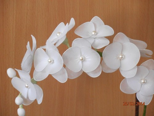 Orchidej bílá na objednávku — foto 2