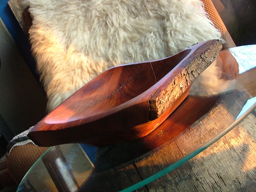 Hranatá trnková — foto 2